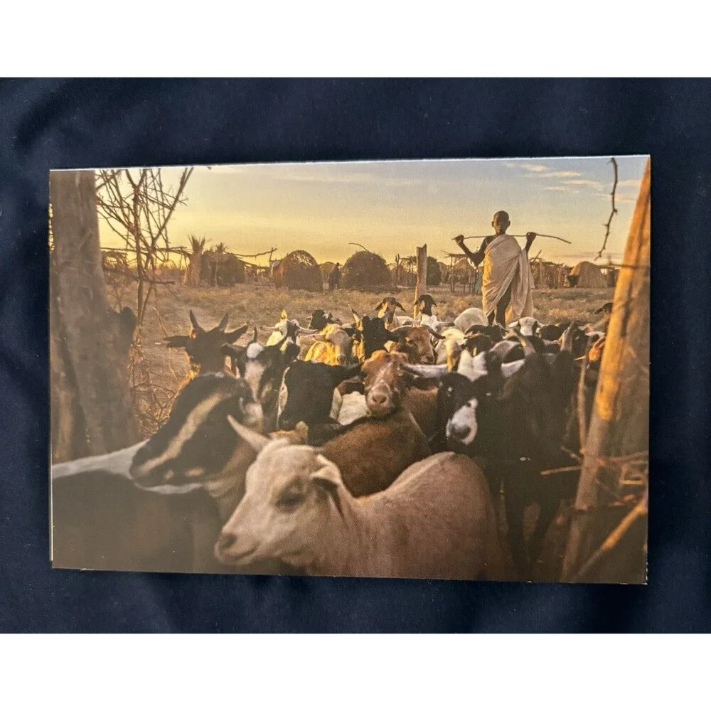 Generic Card with White Envelope and Blank Interior | Livestock design by HRW
